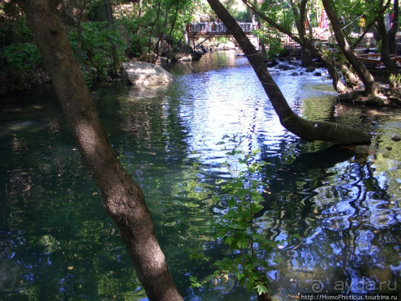 Местные активити