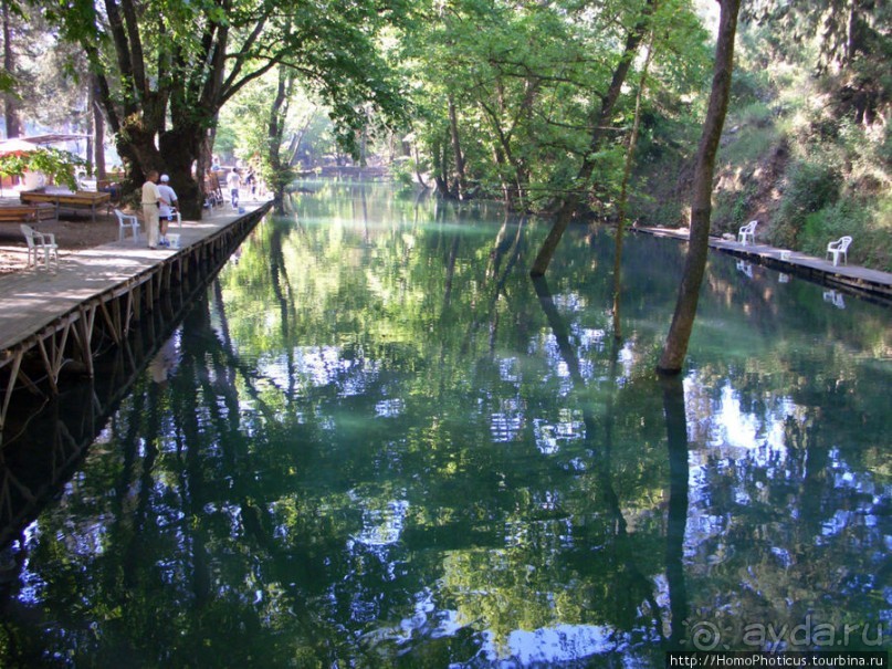 Местные активити