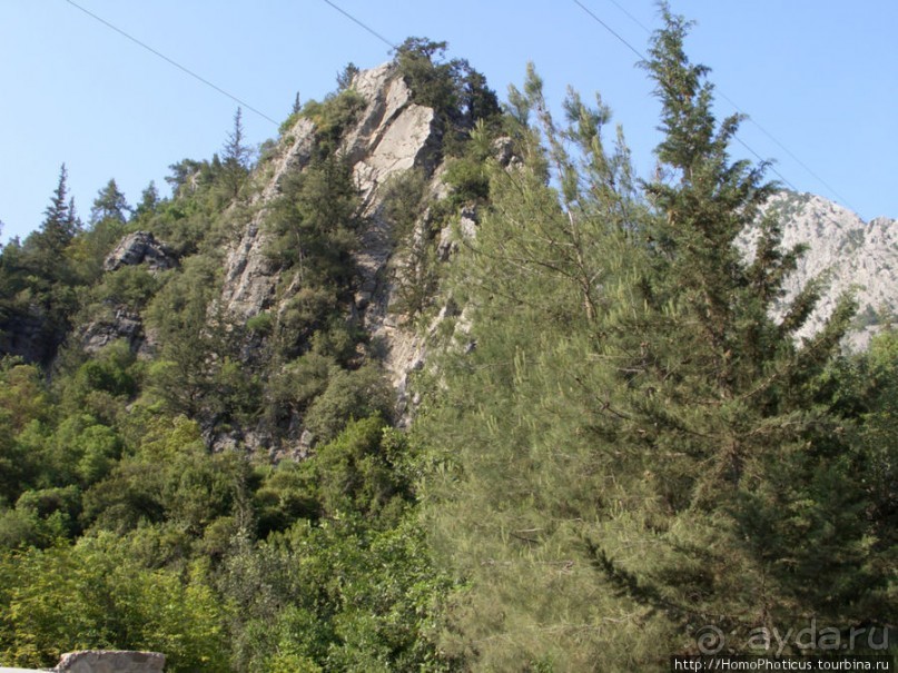 Местные активити