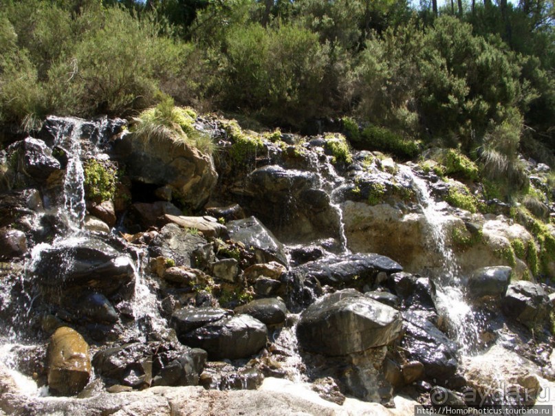 Местные активити