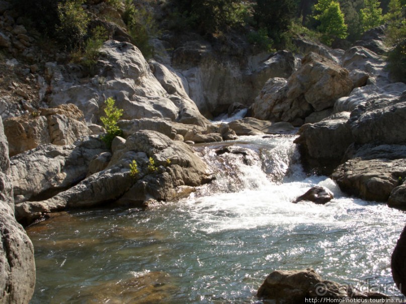 Местные активити