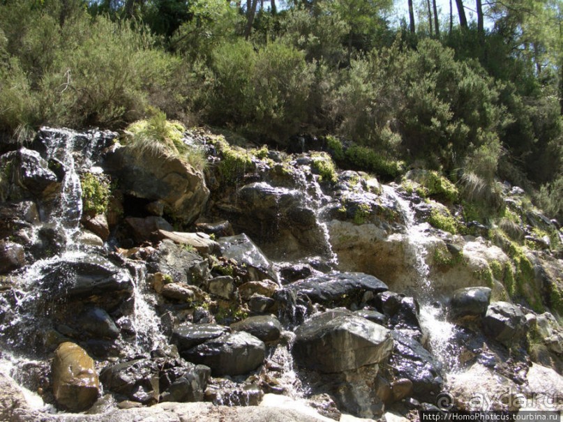 Местные активити