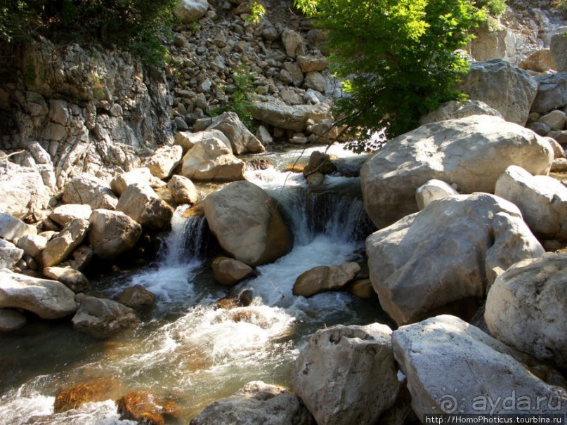 Местные активити