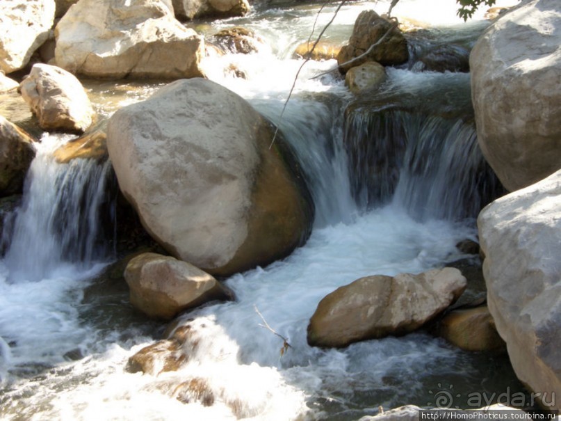 Местные активити