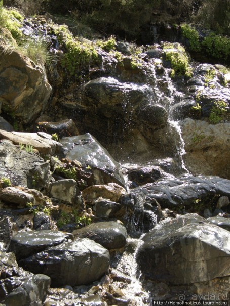 Местные активити