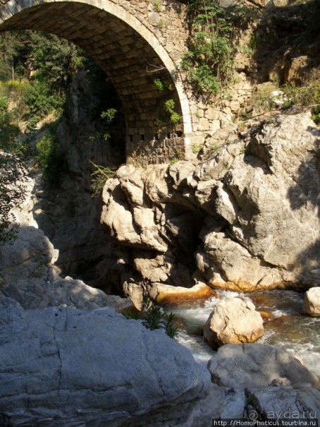 Местные активити