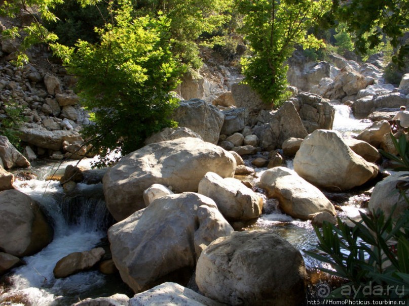 Местные активити