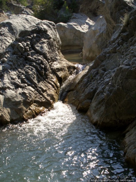 Местные активити