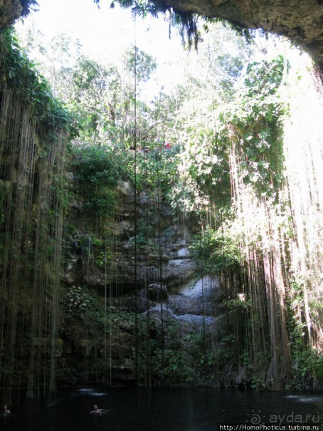 Черный Ягуар