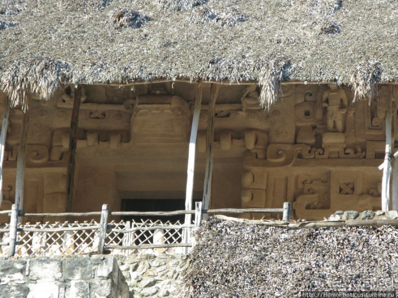 Черный Ягуар