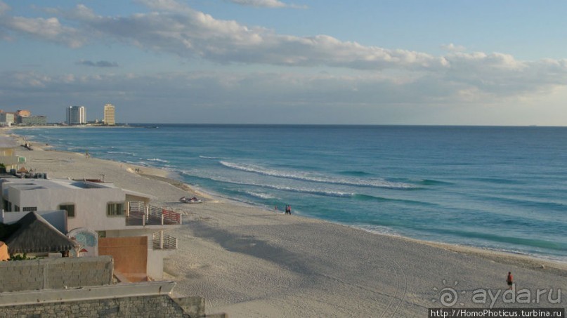 Черный Ягуар