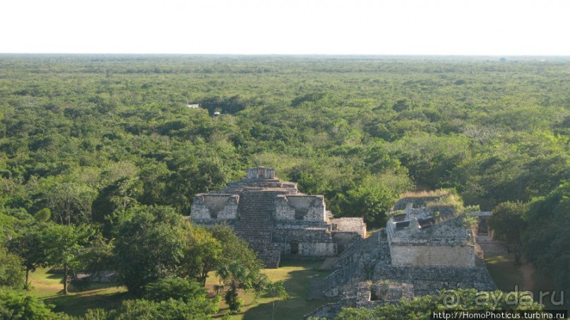 Черный Ягуар