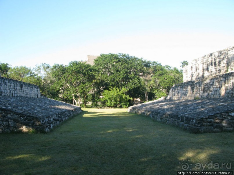 Черный Ягуар