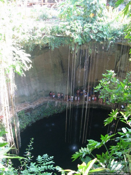 Черный Ягуар