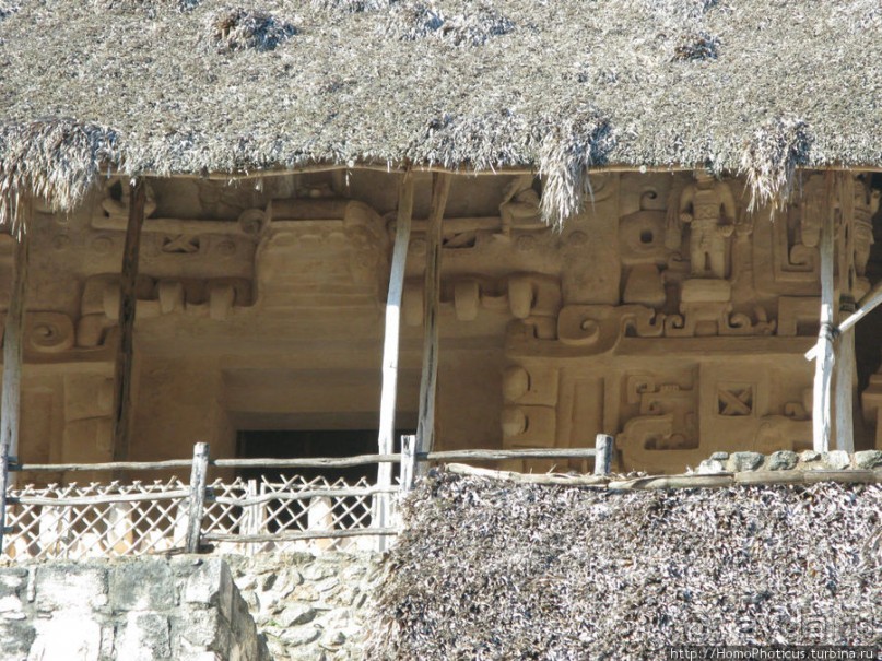 Черный Ягуар