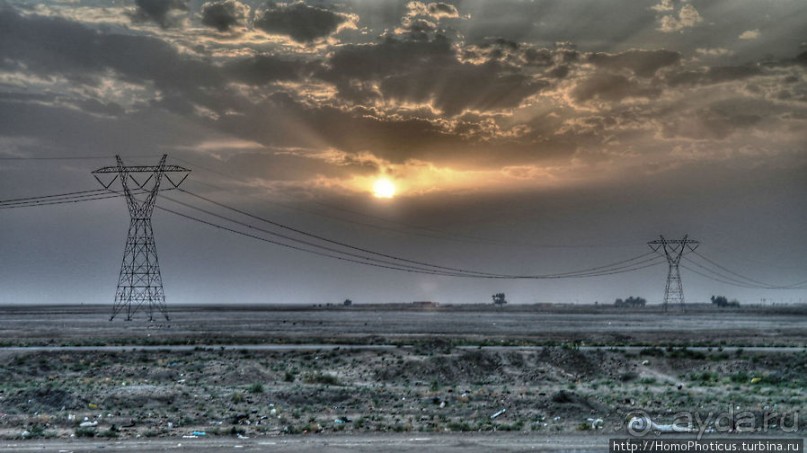 Дерево греха возле арабского потока