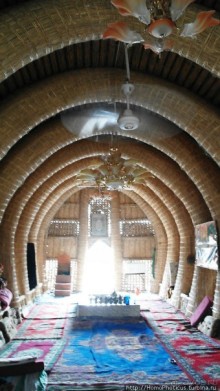 Дерево греха возле арабского потока