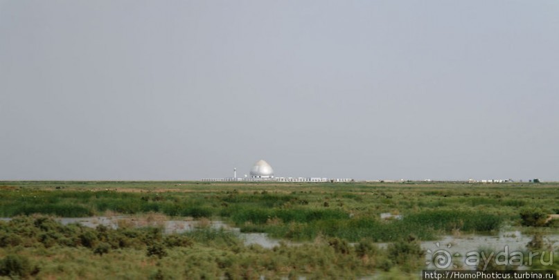 Дерево греха возле арабского потока