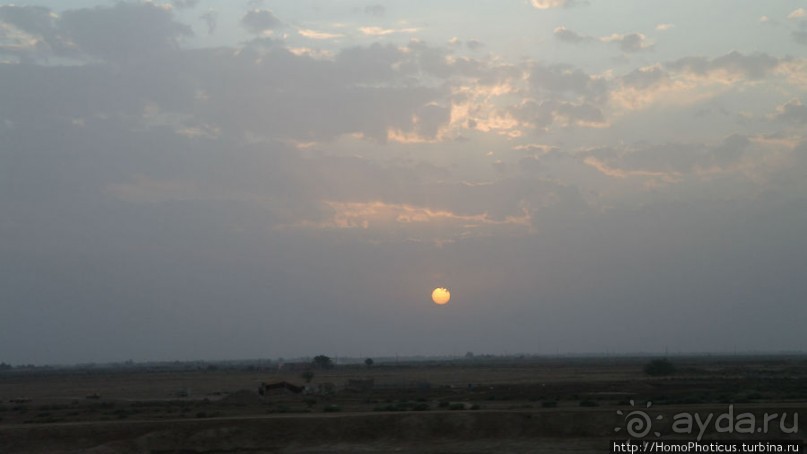 Дерево греха возле арабского потока