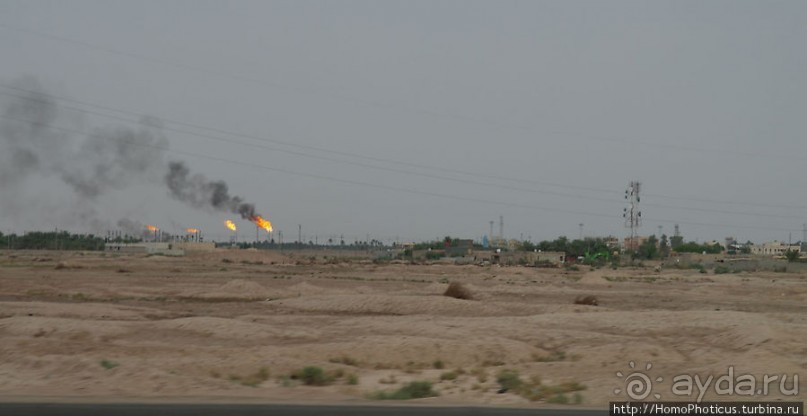 Дерево греха возле арабского потока