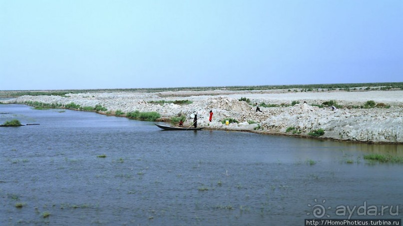 Дерево греха возле арабского потока