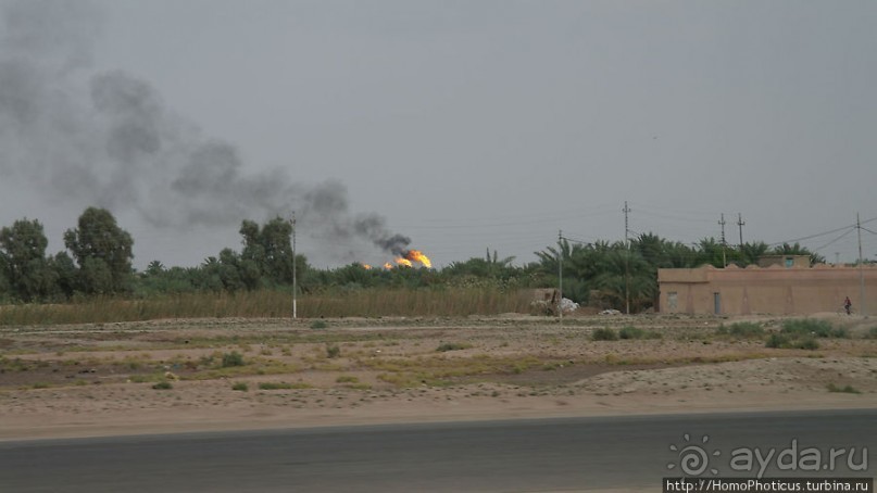 Дерево греха возле арабского потока