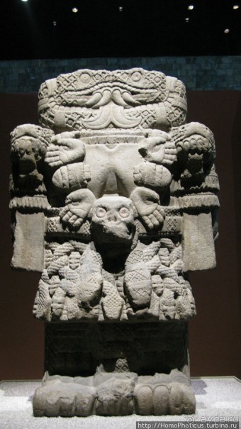 Дом у кактусовой скалы и место, где люди становятся богами