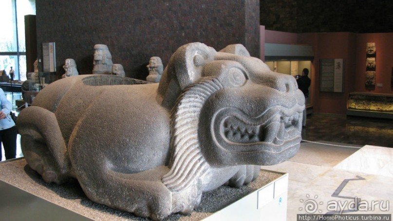 Дом у кактусовой скалы и место, где люди становятся богами