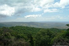 Маго почти без мурси