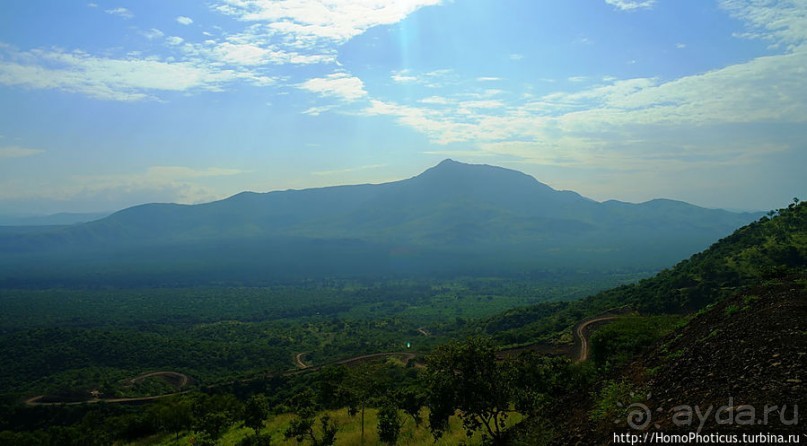 Маго почти без мурси