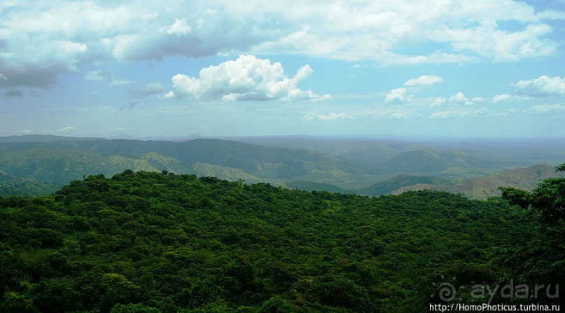 Маго почти без мурси