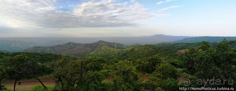 Маго почти без мурси