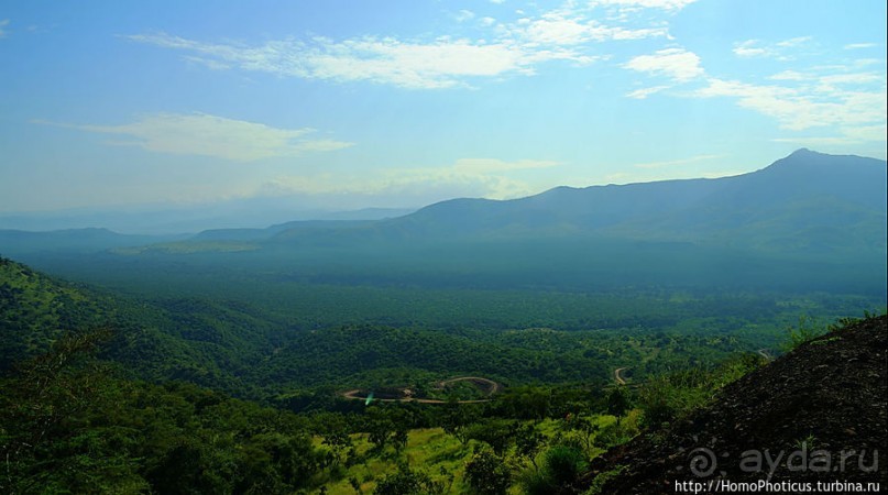 Маго почти без мурси