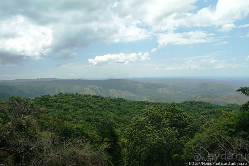 Маго почти без мурси