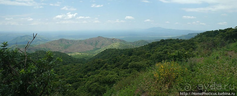 Маго почти без мурси