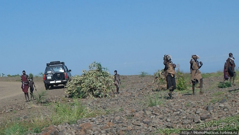 Маго почти без мурси