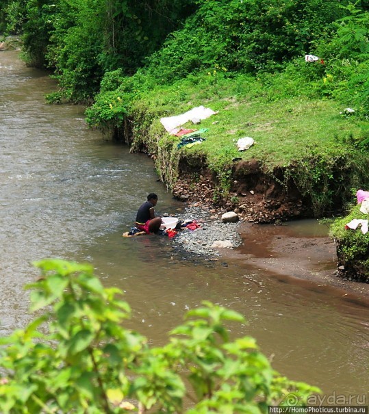 Маго почти без мурси