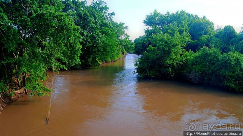 Маго почти без мурси