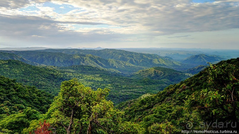 Маго почти без мурси