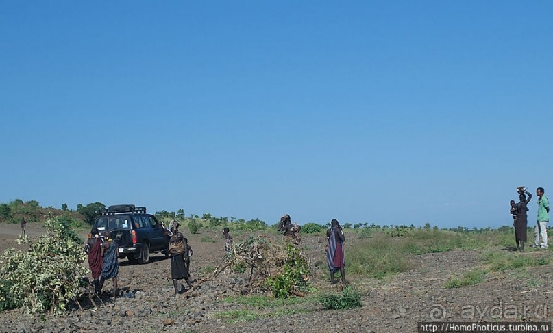 Маго почти без мурси
