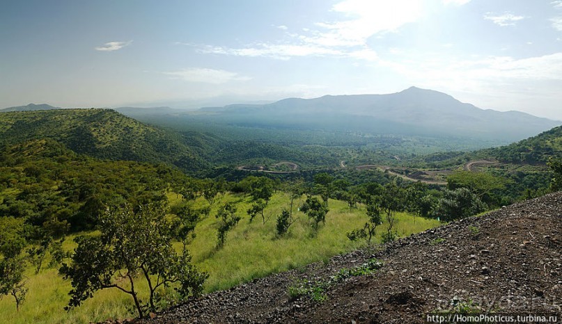 Маго почти без мурси