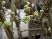 Город новоторов