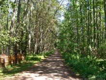По Карельскому перешейку