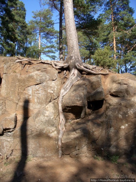 По Карельскому перешейку