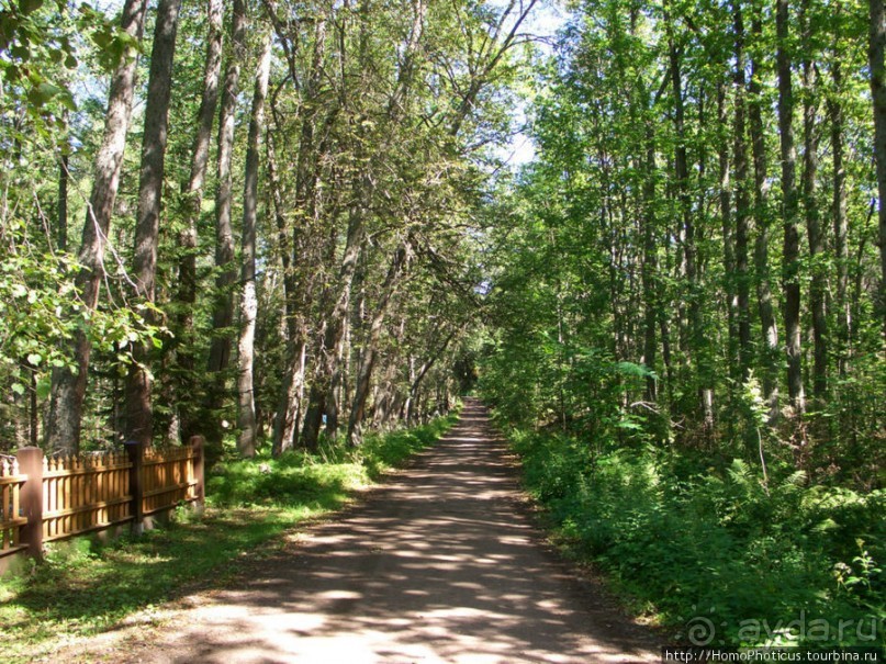 По Карельскому перешейку
