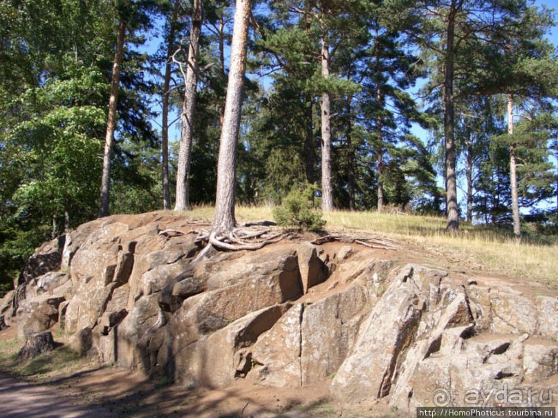 По Карельскому перешейку