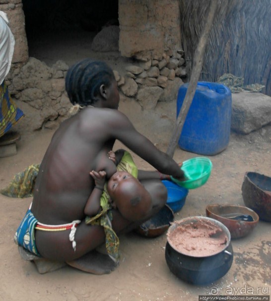 Типажи дупа