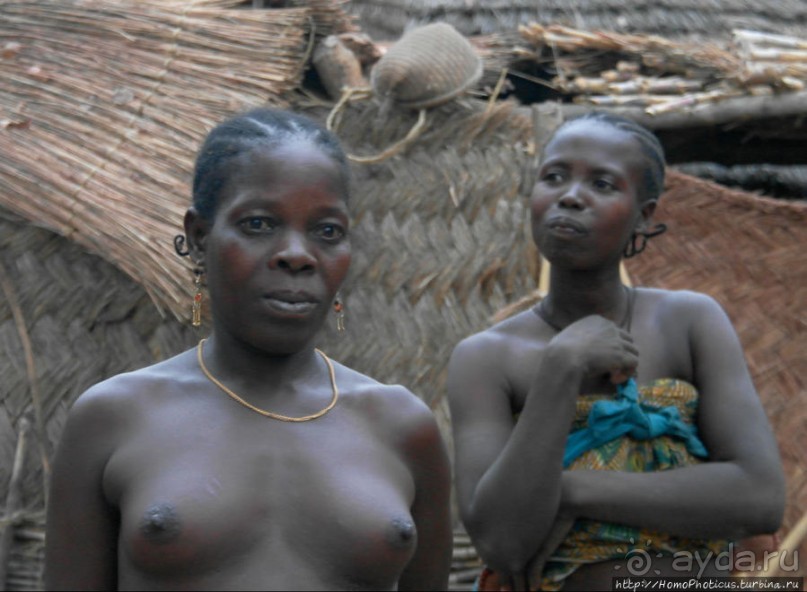 Типажи дупа