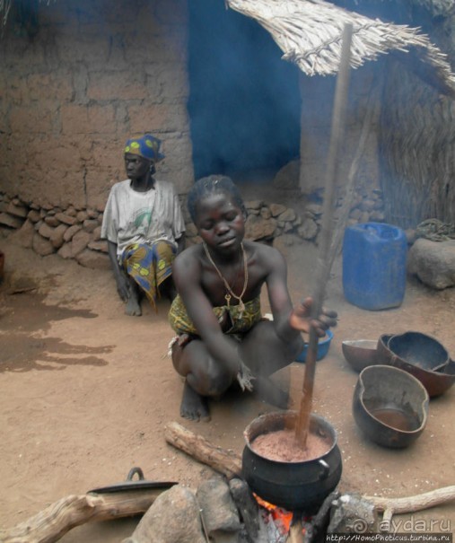 Типажи дупа