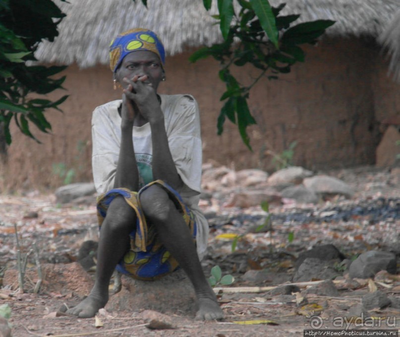 Типажи дупа